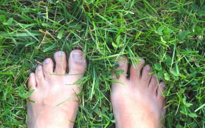 Qu&rsquo;est-ce que la Movement Medicine?