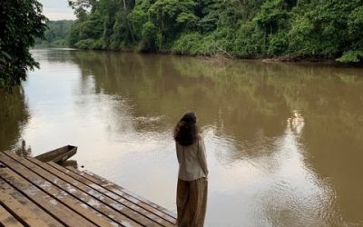 Amazonie : Partie loin pour atterrir à l&rsquo;intérieur de moi