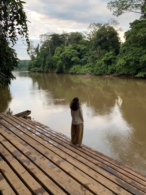 Amazonie : Partie loin pour atterrir à l’intérieur de moi