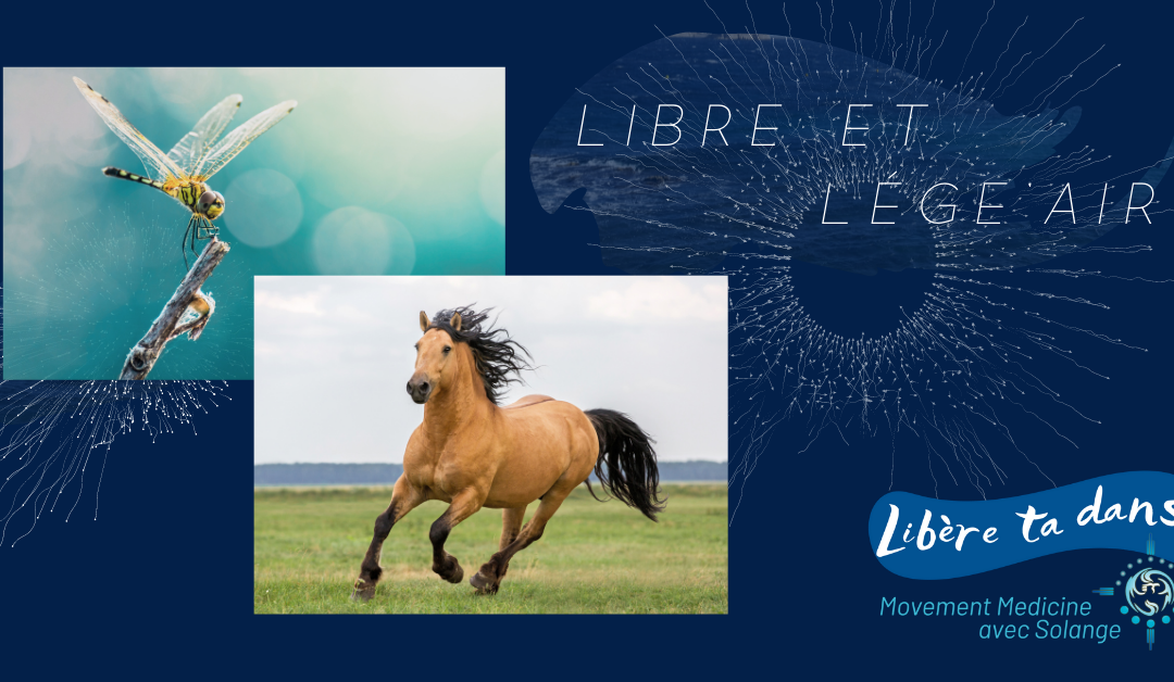 Stage : Libre et Lége’ Air