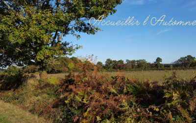 Accueillir l&rsquo;automne avec sérénité