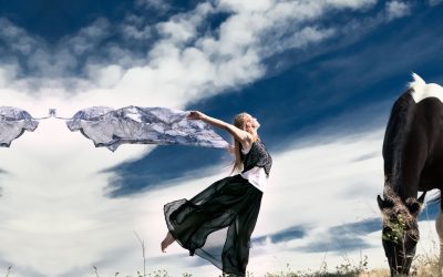 Nouvel élan – journée découverte Équicoaching et danse libre