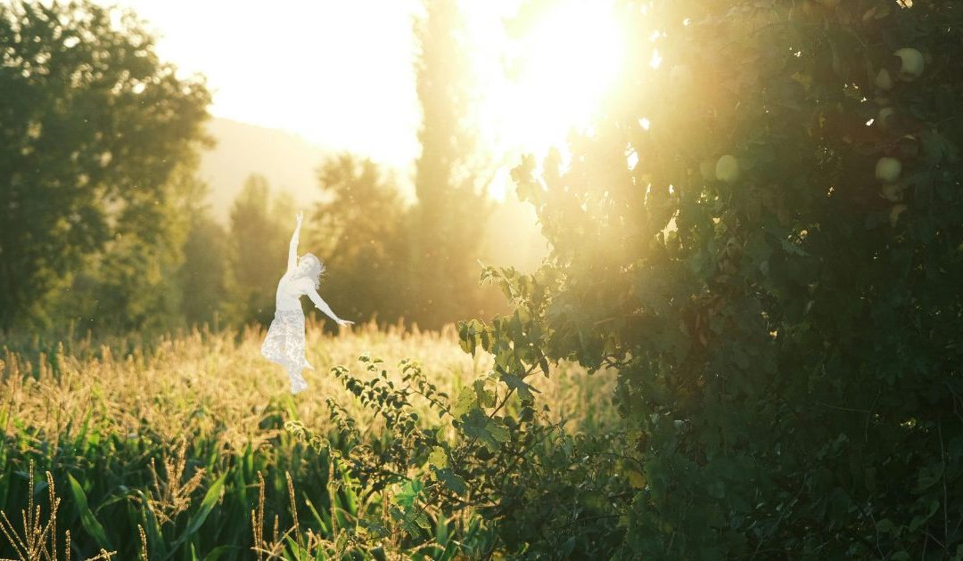 S&rsquo;ancrer pour s&rsquo;ouvrir – Weekend reconnexion à soi | 3-5 juillet en nature