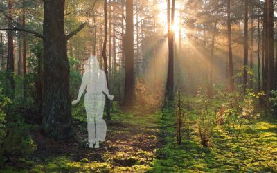 Venir au monde – Stage Movement Medicine – Aout 2026